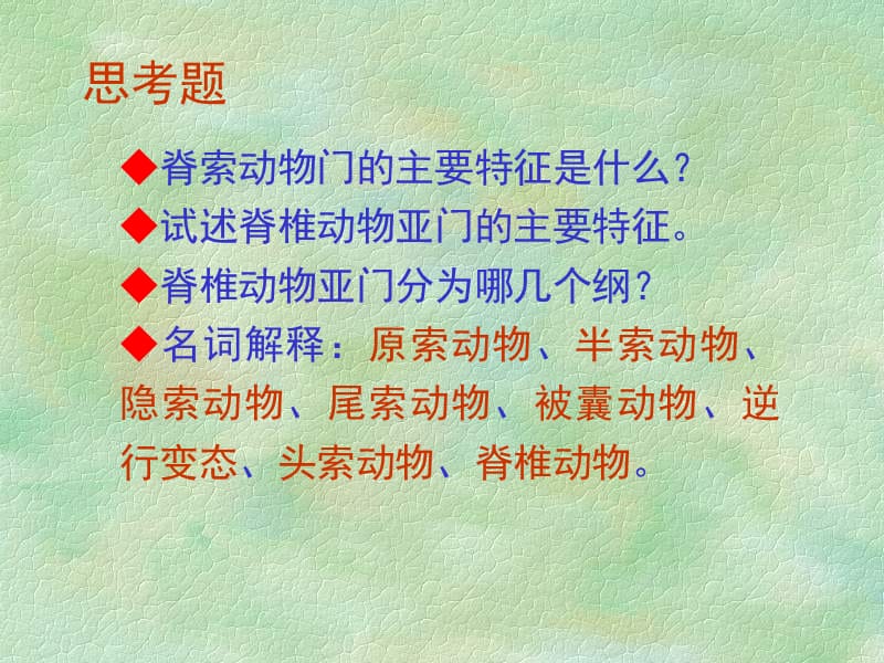 L脊索动物门(1).ppt_第1页