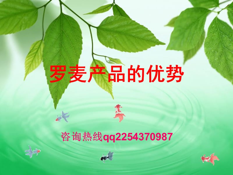 罗麦产品的详解.ppt_第1页