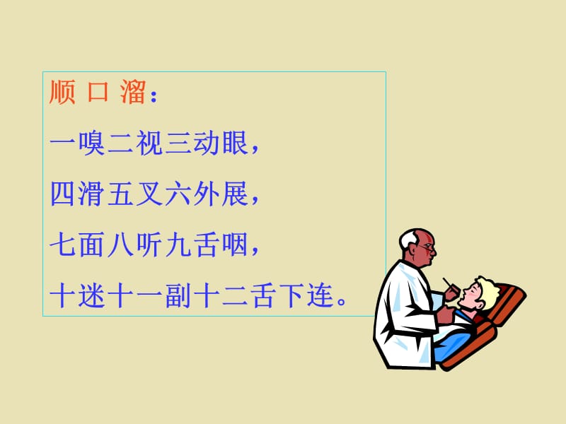 系统解剖 概要脑神经.ppt_第3页