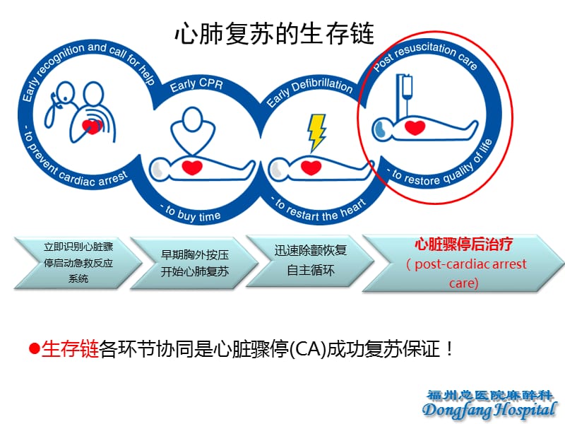 心脏骤停后治疗.ppt_第3页