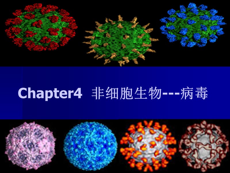 Chapter4非细胞生物--病毒.ppt_第1页