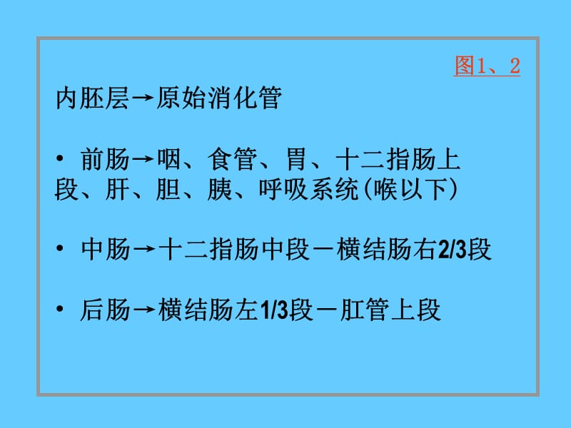 消化系统和呼吸系统的发生PPT.ppt_第2页