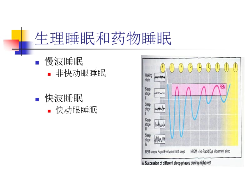 N13镇静催眠药.ppt_第3页