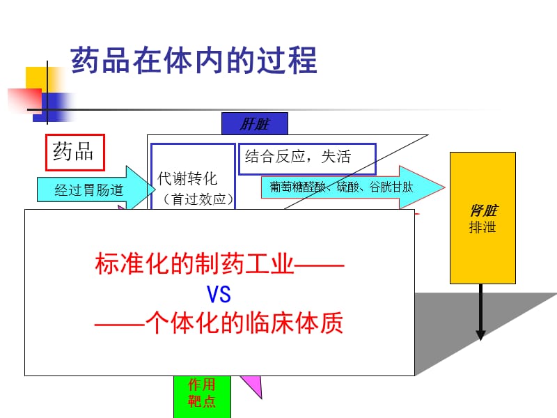 凝血系统的个体化用药探讨 4-23.ppt_第2页