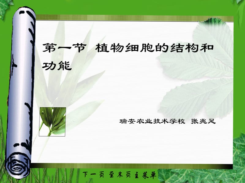 第一节植物细胞的结构和功能.ppt_第1页