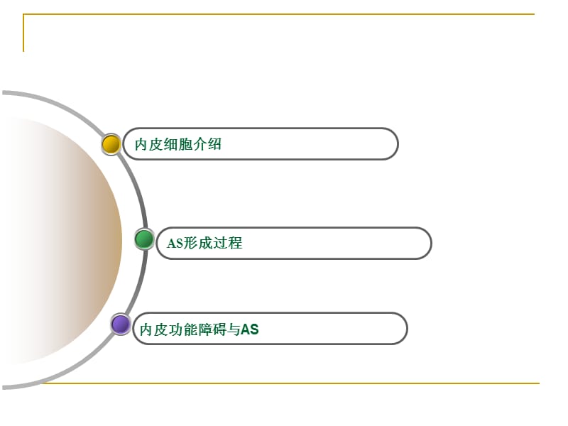 内皮细胞与动脉粥样硬化关系.ppt_第2页