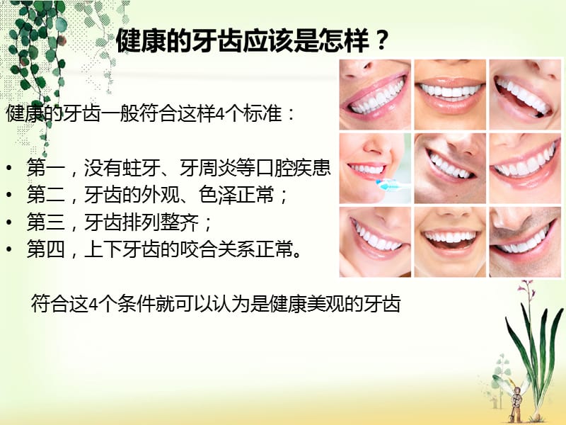 你不能不知道的口腔知识.ppt_第2页