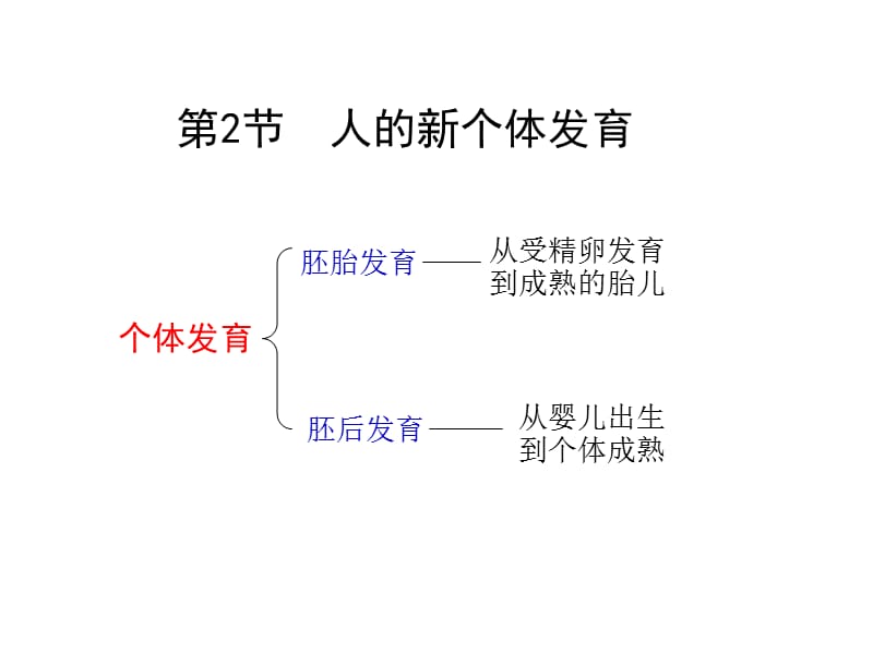 八年级生物人的新个体发育2.ppt_第1页