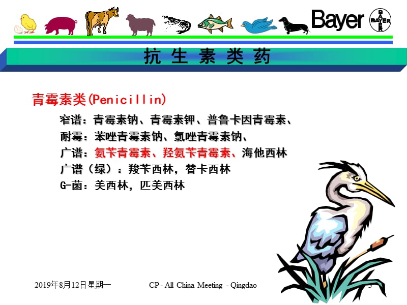 抗 微 生 物 药.ppt_第3页