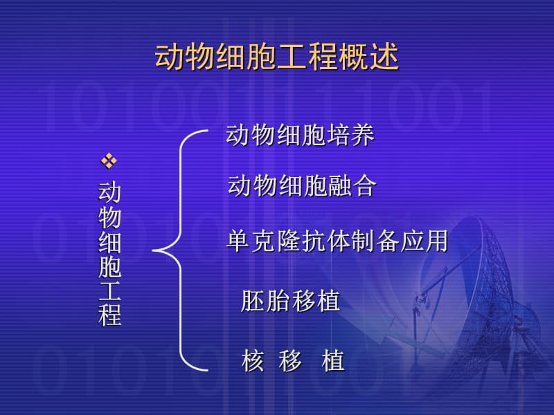 第二细胞工程简介二动物细胞工程.ppt_第2页