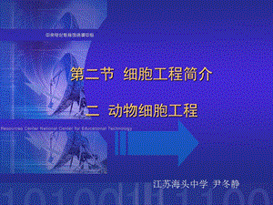 第二细胞工程简介二动物细胞工程.ppt