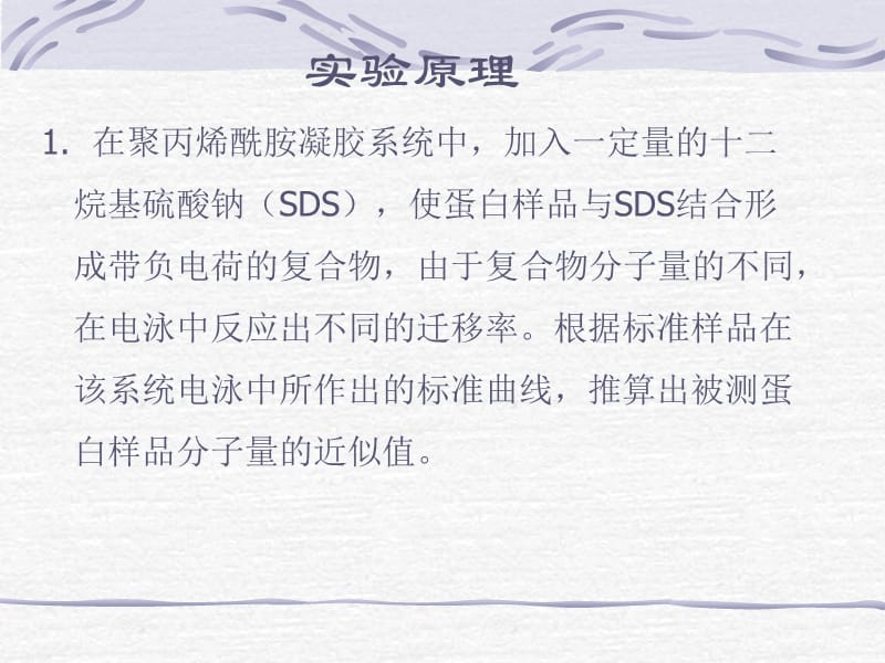 sds-聚丙烯酰胺凝胶电泳法测定蛋白质分子量 实验目的和要求.ppt_第2页