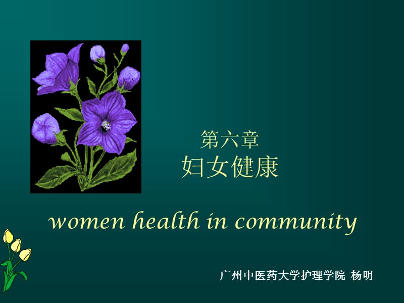 第六章妇女健康womenhealthincommunity.ppt_第1页