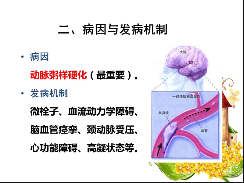 TIA患者的护理.ppt_第3页