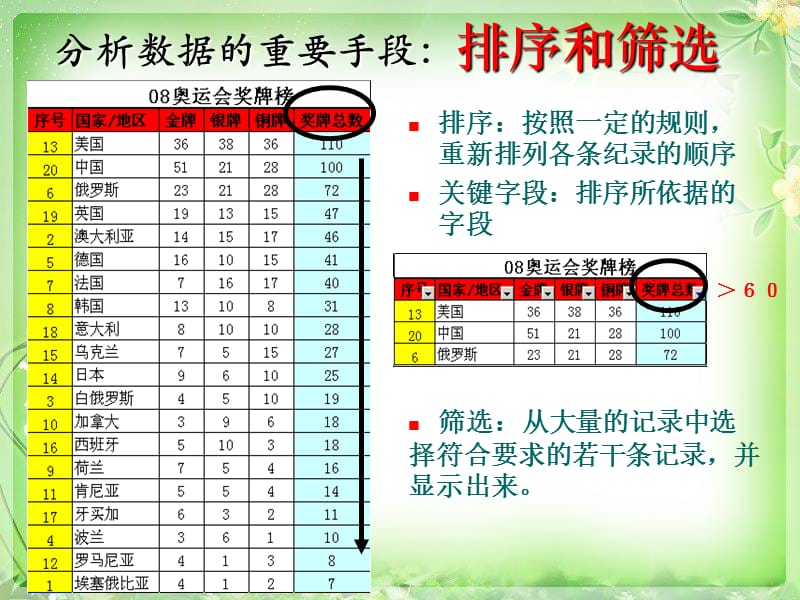 第四火眼金睛-数据的排序与筛选.ppt_第3页