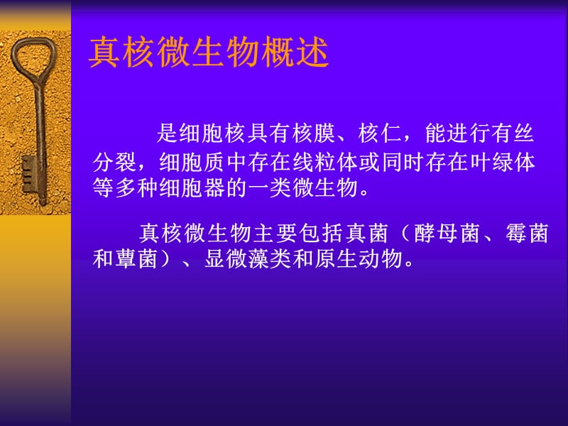 微生物学：真核微生物.ppt_第2页