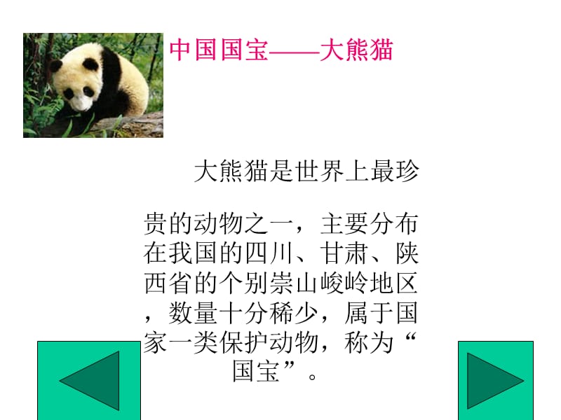 保护珍稀动物.ppt_第2页