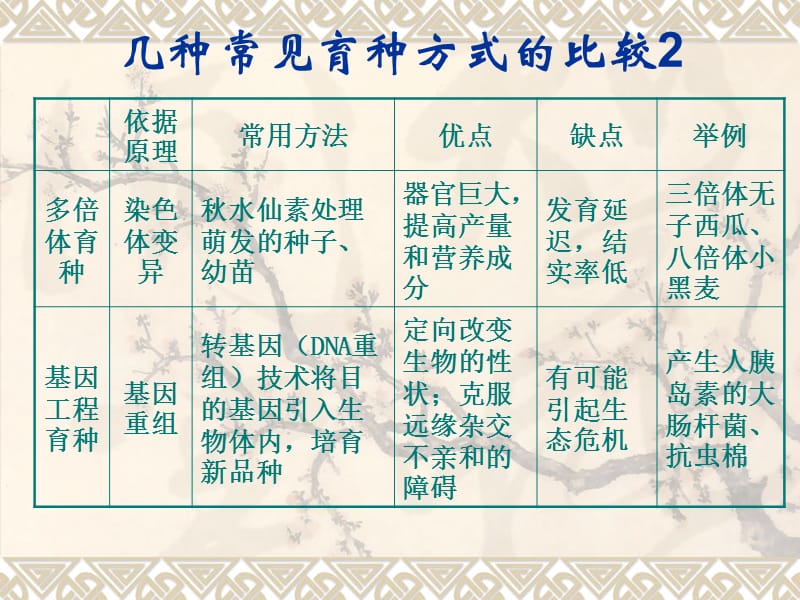 期末复习6--从杂交育种到基因工程1.ppt_第3页