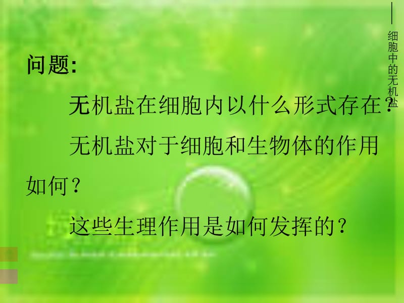 细胞中的无机盐.ppt_第3页