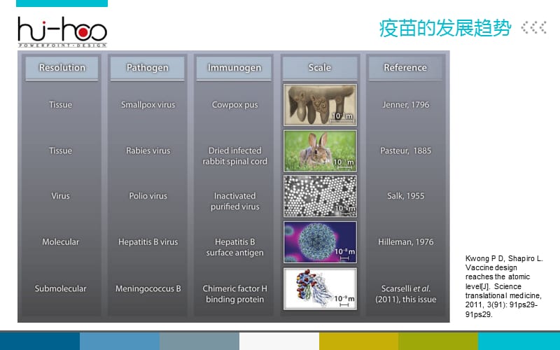 狂犬病疫苗的研究及其进展.ppt_第2页