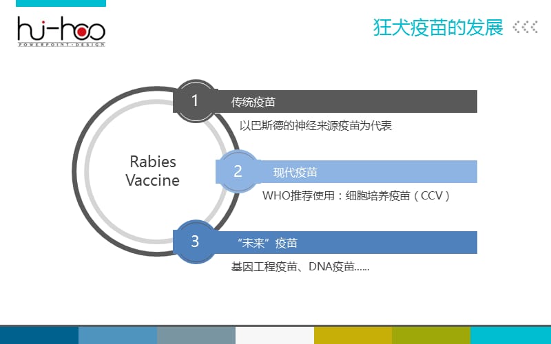 狂犬病疫苗的研究及其进展.ppt_第3页