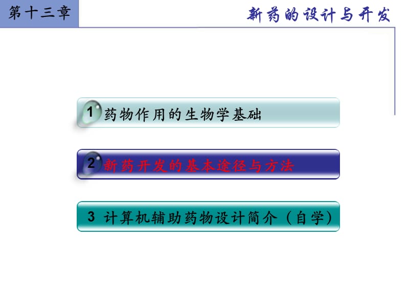 新药设计与开发.ppt_第2页