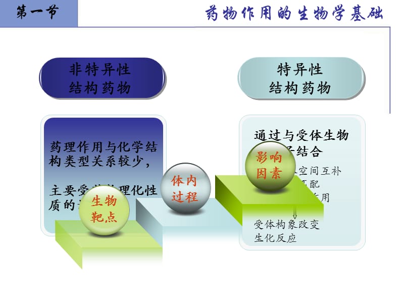 新药设计与开发.ppt_第3页