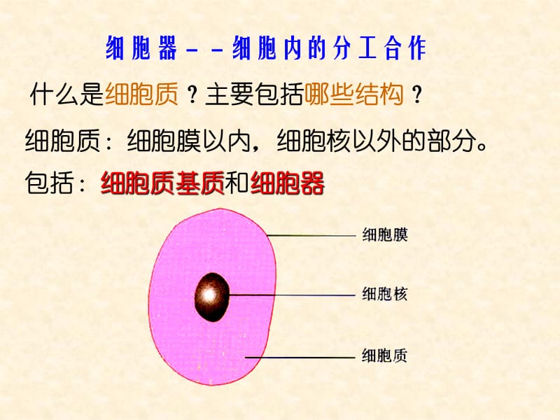 人教版教学课件细胞器——细胞内的分工合作(第一课时) 课件 1.ppt_第1页