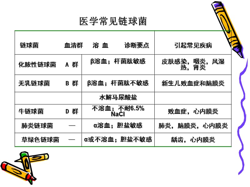 奈瑟氏球菌.ppt_第3页