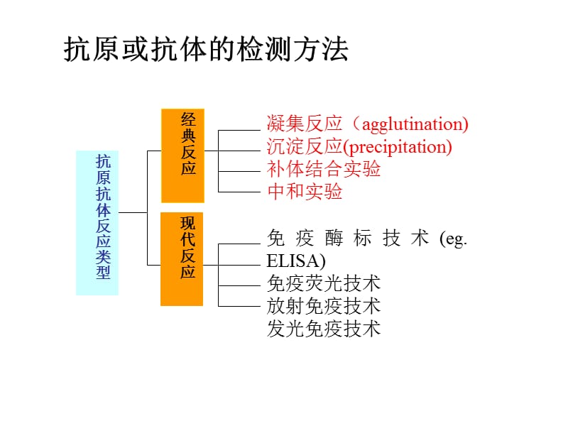 实验二 凝集反应.ppt_第2页