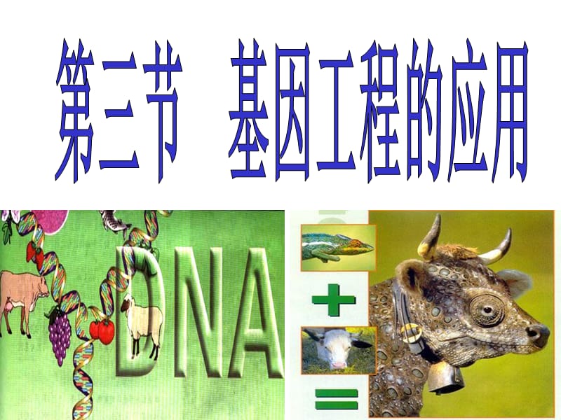 现代生物科技专题 基因工程的应用(第一章第三节).ppt_第1页