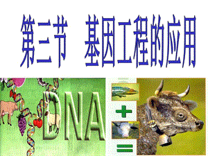 现代生物科技专题 基因工程的应用(第一章第三节).ppt