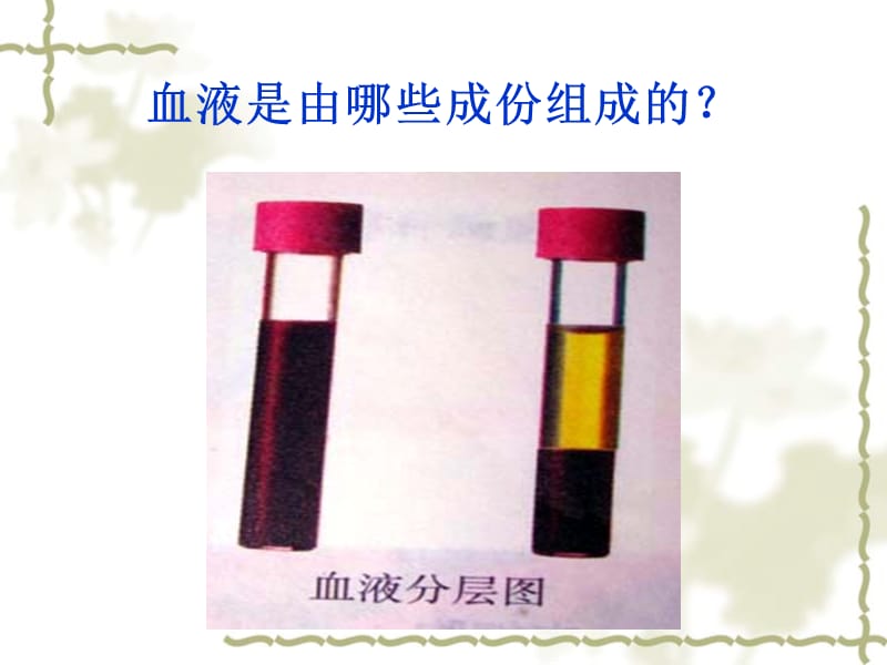 同学老师们大家好！.ppt_第3页