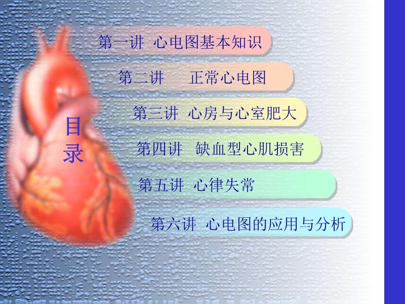 心电图学 总课件.ppt_第2页