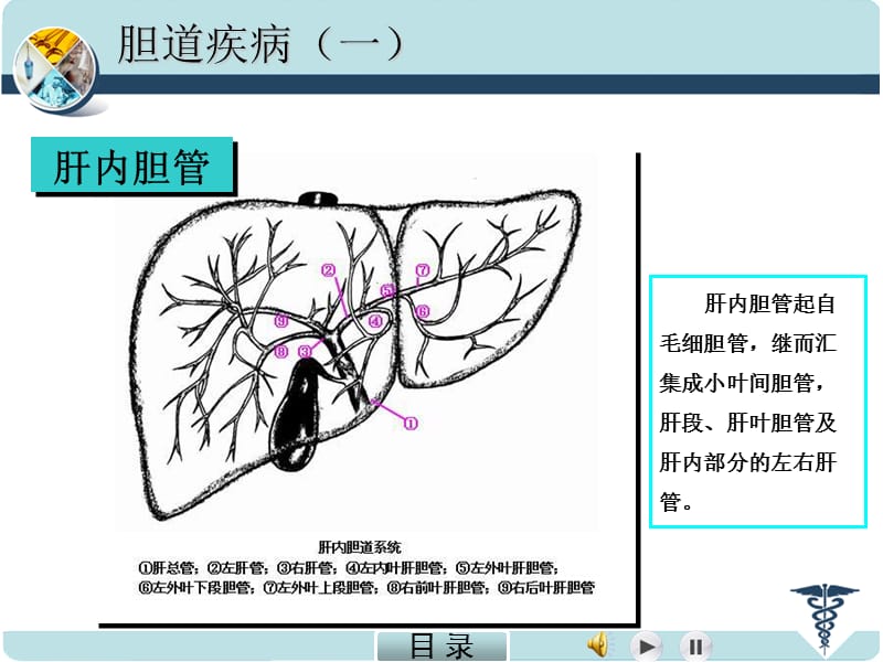 外科学(5).ppt_第3页