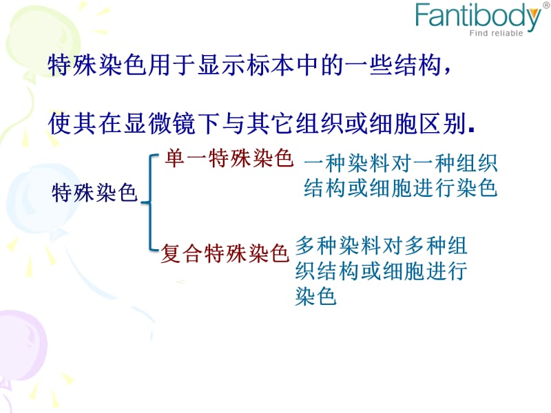 细胞免疫组织化学特殊染色方法.ppt_第2页