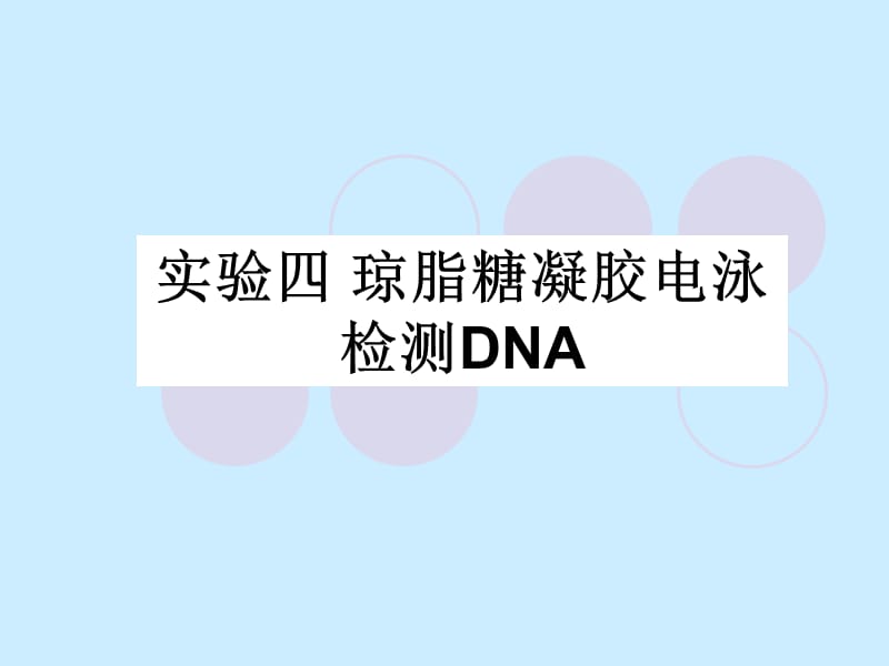 实验4-琼脂糖凝胶电泳检测DNA-2010.ppt_第1页