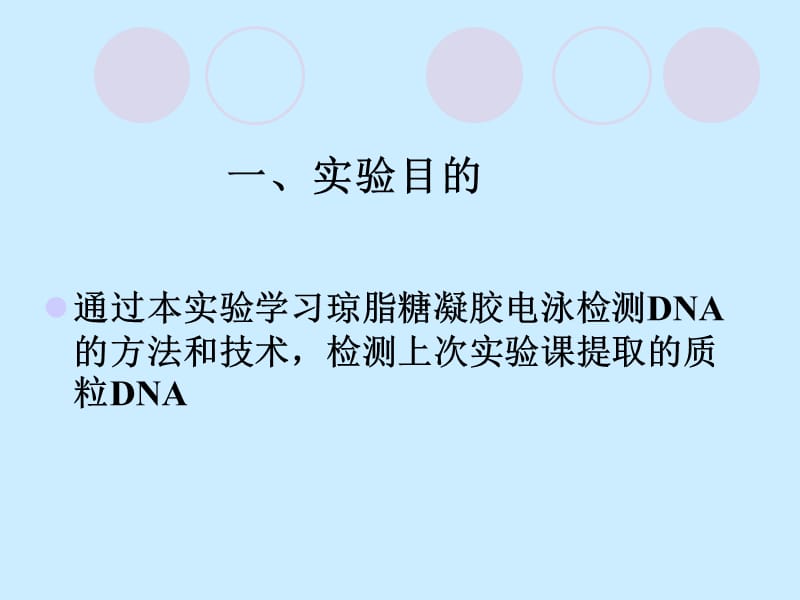 实验4-琼脂糖凝胶电泳检测DNA-2010.ppt_第2页