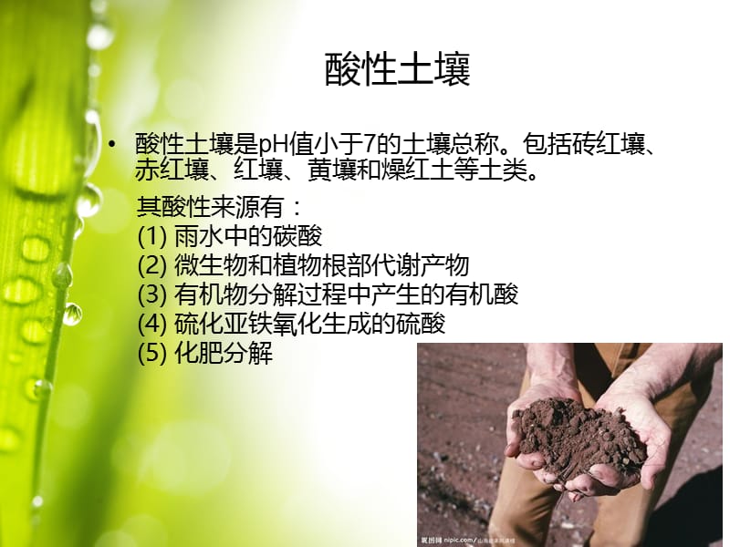 土壤酸碱度.ppt_第2页