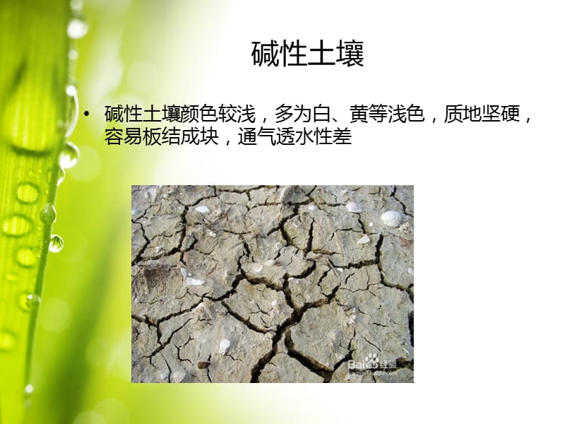 土壤酸碱度.ppt_第3页