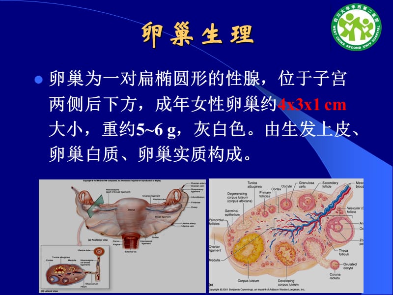 卵巢肿块的超声诊断杨太珠华西.ppt_第2页