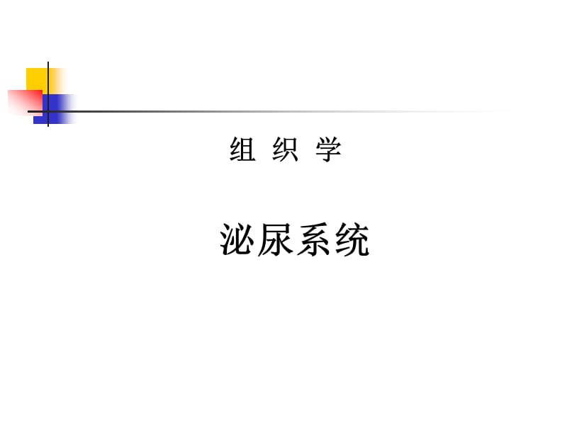 泌尿系统组织学.ppt_第1页