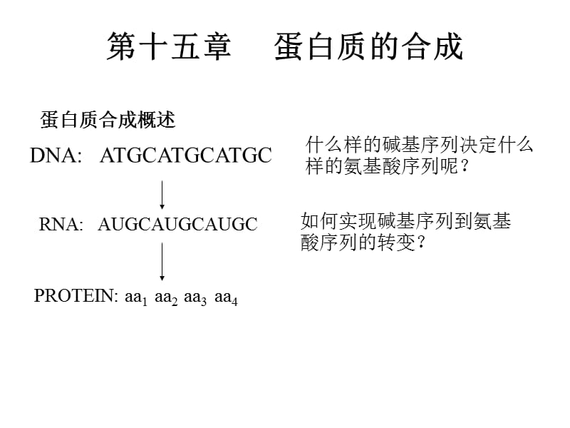 第十五章蛋白质的合成.ppt_第1页