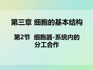 新课标人教版(高中生物) 必修1：3.2 细胞器——系统内的分工合作同课异构课件4.ppt