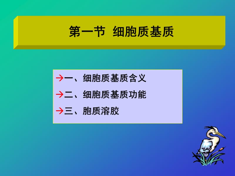 细胞分子生物学_7_1.ppt_第2页