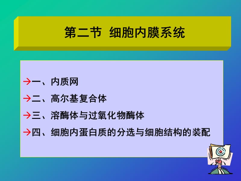 细胞分子生物学_7_1.ppt_第3页