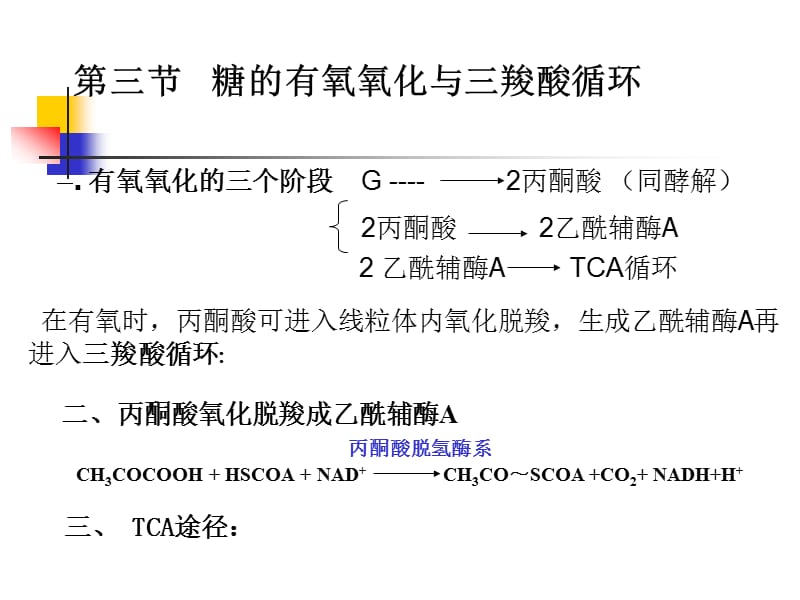 第三节糖的有氧氧化与三羧酸循环.ppt_第1页