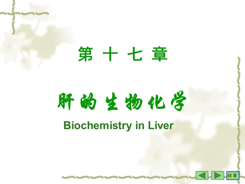 第十七肝的生物化学.ppt_第1页