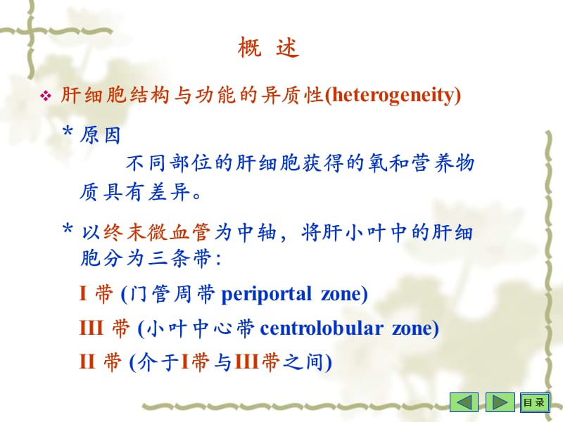 第十七肝的生物化学.ppt_第2页