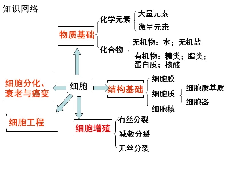 细胞分化衰老与癌变.ppt_第2页